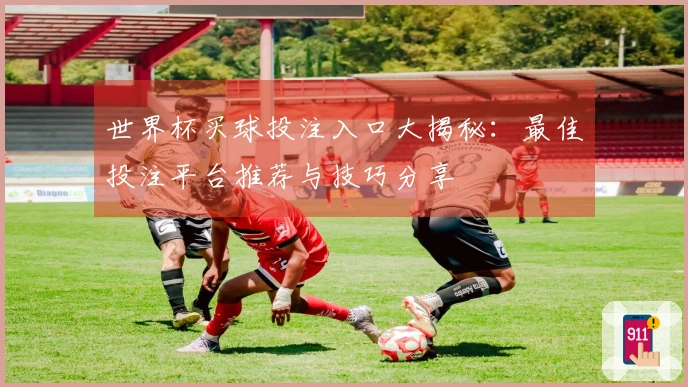 世界杯买球投注入口大揭秘：最佳投注平台推荐与技巧分享