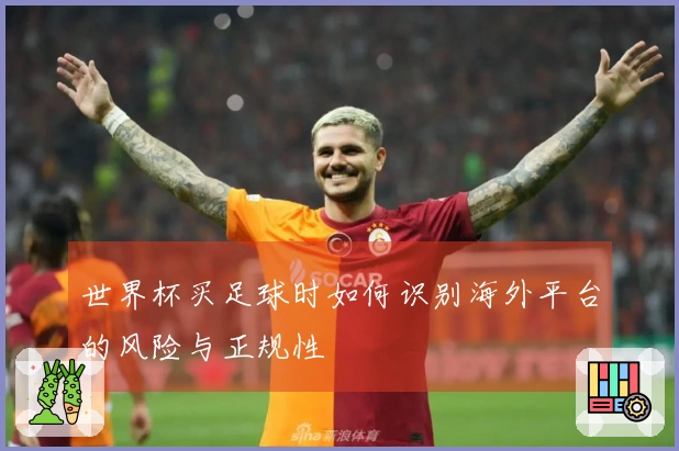世界杯买足球时如何识别海外平台的风险与正规性