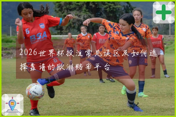 2026世界杯投注常见误区及如何选择靠谱的欧洲赔率平台